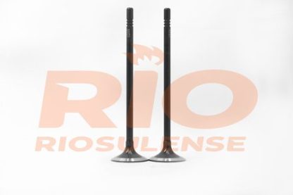 Válvula de Motor ESC - VW 1.0 12V/1.6 16V MSI EA21 - Image 3